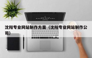 济宁沈阳专业网站制作方案（沈阳专业网站制作公司）